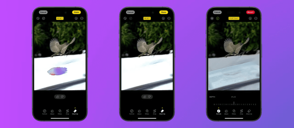 Нові функції Apple Intelligence в iOS 18.1 - Як працює інструмент Clean Up (Очищення) для редагування фото на iPhone 002