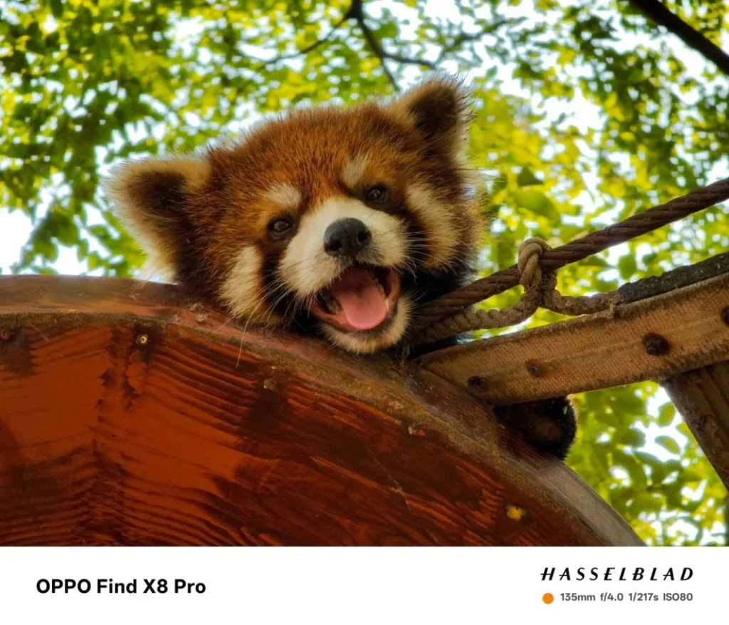 Find-X8-Pro-camera-6-1068x915