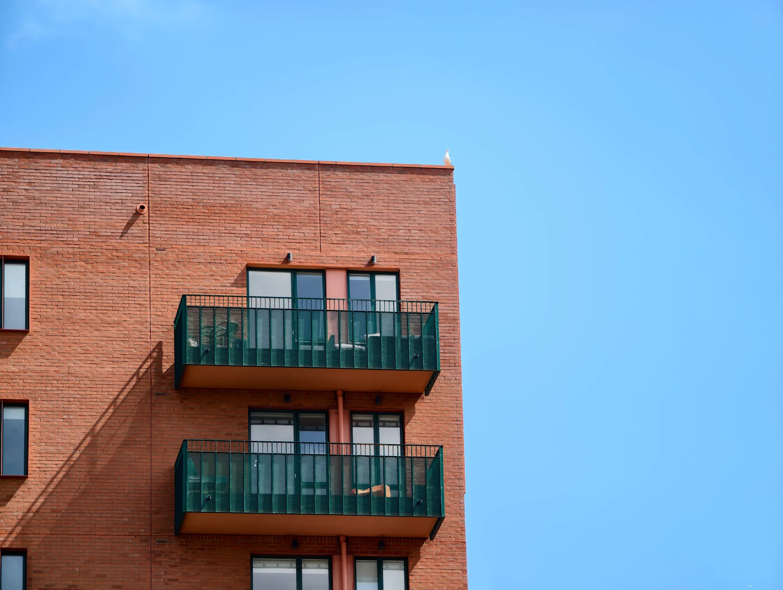 Огляд Vivo X200 Ultra з Photography Kit: смартфон, що замінює дзеркалку