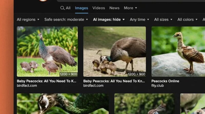 DuckDuckGo дозволяє фільтрувати ШІ-зображення у пошуку: як це працює
