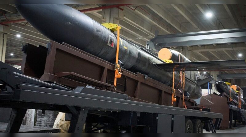 Зеленський підтвердив бойове застосування ракет «Фламінго» та «Рута»: 95% далекобійних ударів — зброя України