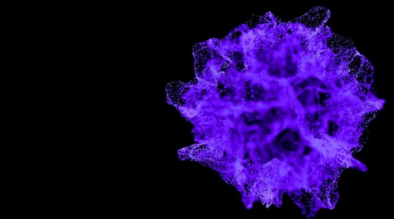 BHAG Digital, міжнародна технологічна компанія з українським корінням, виходить на ринок України