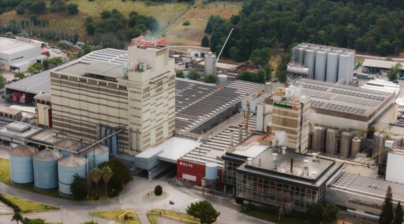 Пиво Heineken будуть варити на пару від теплової батареї на 100 МВт/год