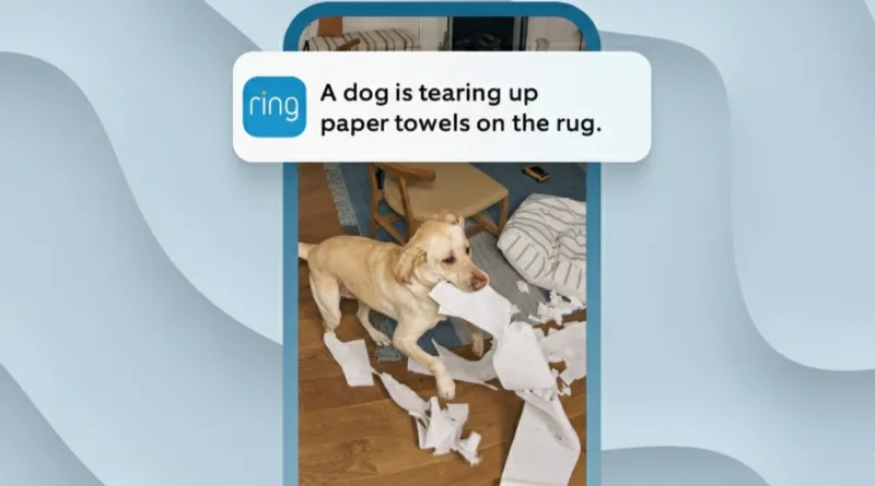 Ring запускає Single Event Alert: генеративний ШІ групуватиме сповіщення від камери, щоб усунути дублікати