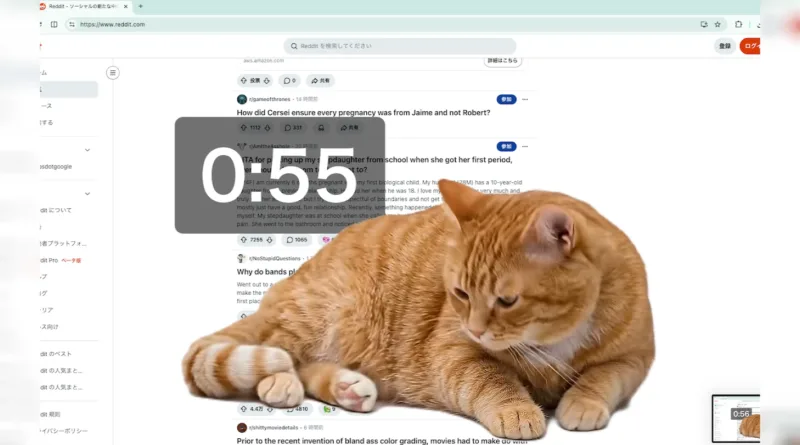 Нове розширення Cat Gatekeeper для браузера Chrome блокує думскролінг котом