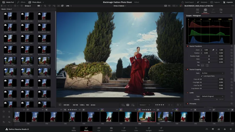 DaVinci Resolve 21 отримав Photo page для обробки фотографій