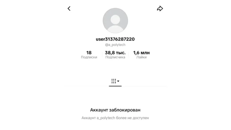TikTok заблокував акаунт «Алабуга Політеху» з вербування підлітків